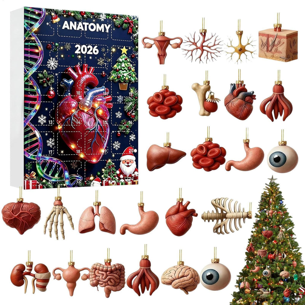 Anatomie Adventskalender 2026 - 24 Hangers van Menselijke Organen
