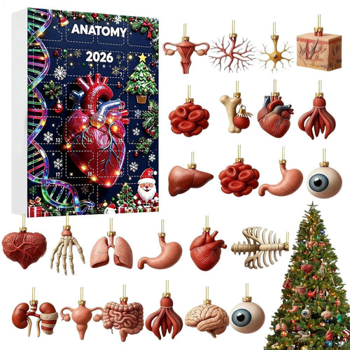 Anatomie Adventskalender 2026 - 24 Hangers van Menselijke Organen