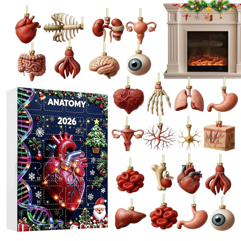 Anatomie Adventskalender 2026 - 24 Hangers van Menselijke Organen