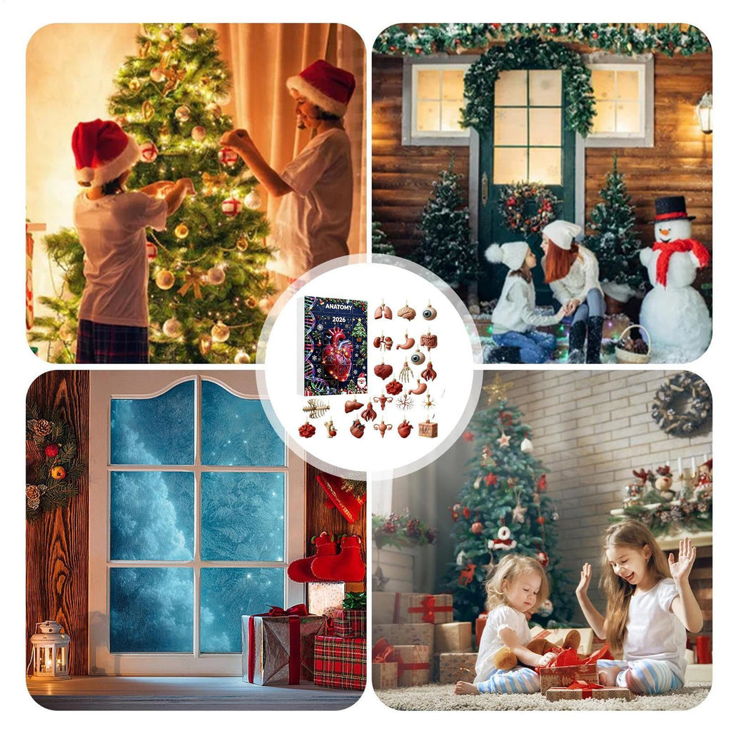 Anatomie Adventskalender 2026 - 24 Hangers van Menselijke Organen
