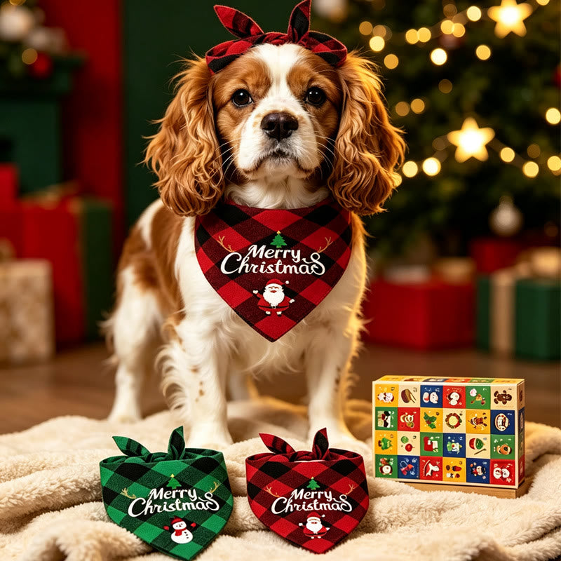Katten en Honden Adventskalender 2026 - 24 Deurtjes, 24 Dierenspeeltjes