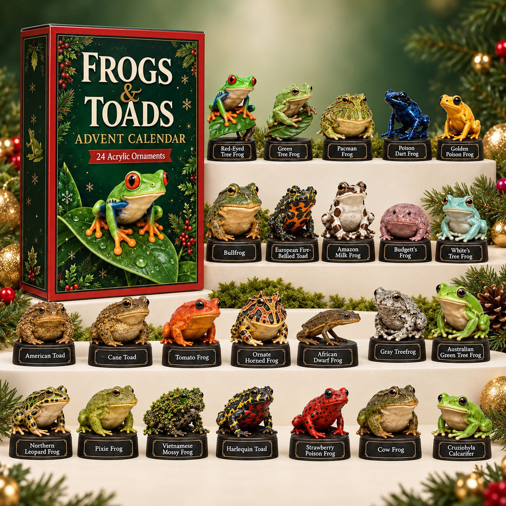 Kikkers & Padden Adventskalender 2026 - 24 Kikkerfiguurtjes