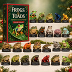 Kikkers & Padden Adventskalender 2026 - 24 Kikkerfiguurtjes