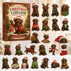 Labrador Adventskalender 2026 - 24 Acryl Labradorhangers
