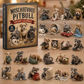 Pitbull Adventskalender 2026 - 24 Pitbull Kersthangers